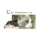 ネコネコ08（個別スタンプ：5）