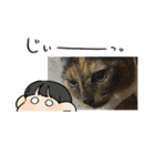 ネコネコ08（個別スタンプ：6）