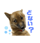 つつじちゃんスタンプ（個別スタンプ：2）