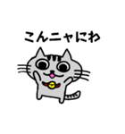 ニャんきち。（個別スタンプ：3）