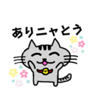 ニャんきち。（個別スタンプ：4）