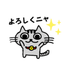 ニャんきち。（個別スタンプ：5）