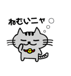 ニャんきち。（個別スタンプ：13）