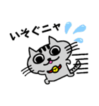 ニャんきち。（個別スタンプ：15）