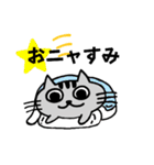 ニャんきち。（個別スタンプ：16）