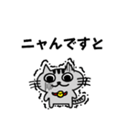 ニャんきち。（個別スタンプ：27）