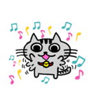 ニャんきち。（個別スタンプ：31）
