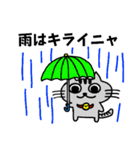 ニャんきち。（個別スタンプ：35）