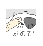 犬のハナです。（個別スタンプ：9）