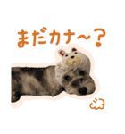 ぱむスタンプ-②（個別スタンプ：4）