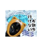 動く黒猫 ハルとロビン 梅雨バージョン（個別スタンプ：11）