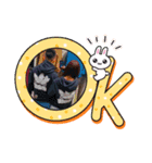 きょーまや（個別スタンプ：1）