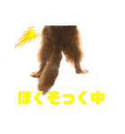 キャバリアのほく 〜毎日のくらし編〜（個別スタンプ：20）