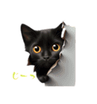 かじゅの黒猫スタンプ（個別スタンプ：4）