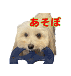 マルックスをひろめ隊（個別スタンプ：2）