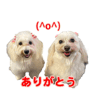 マルックスをひろめ隊（個別スタンプ：3）