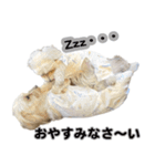 マルックスをひろめ隊（個別スタンプ：11）