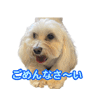 マルックスをひろめ隊（個別スタンプ：16）