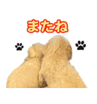 マルックスをひろめ隊（個別スタンプ：29）