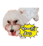マルックスをひろめ隊（個別スタンプ：30）