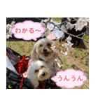 マルックスをひろめ隊（個別スタンプ：32）