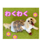 マルックスをひろめ隊（個別スタンプ：33）