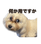 マルックスをひろめ隊（個別スタンプ：34）