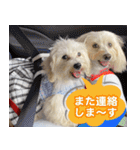 マルックスをひろめ隊（個別スタンプ：40）