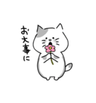 毎日ねこたん（個別スタンプ：17）