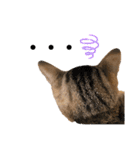 キジトラ猫のエマ（個別スタンプ：2）