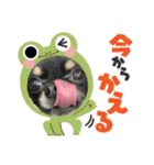 ちょちゃさんてちゃさん（個別スタンプ：8）