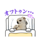 ちょちゃさんてちゃさん（個別スタンプ：12）