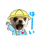 ちょちゃさんてちゃさん（個別スタンプ：13）