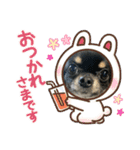 ちょちゃさんてちゃさん（個別スタンプ：15）