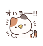 ねこ(ひよこ)（個別スタンプ：1）