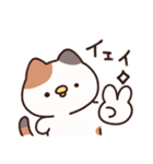 ねこ(ひよこ)（個別スタンプ：6）