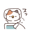 ねこ(ひよこ)（個別スタンプ：10）