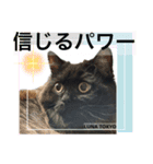 黒猫 ルナ院長35にゃんめ（個別スタンプ：8）