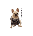 かわいい薫さん（個別スタンプ：4）