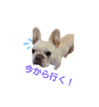かわいい薫さん（個別スタンプ：10）