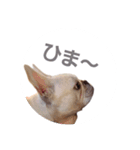 かわいい薫さん（個別スタンプ：14）
