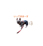 かわいい薫さん（個別スタンプ：16）