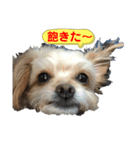 弦之介2（個別スタンプ：1）