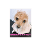 弦之介2（個別スタンプ：4）