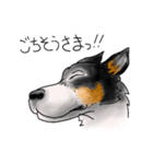 保護犬バンの暮らし 001（個別スタンプ：8）