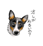 保護犬バンの暮らし 001（個別スタンプ：9）