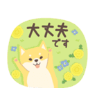 北欧柴犬の日常10 mush（個別スタンプ：8）