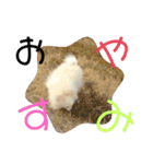 我が家のアイドル姫（個別スタンプ：14）