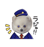 我が家のアイドル姫（個別スタンプ：18）