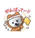 我が家のアイドル姫（個別スタンプ：21）